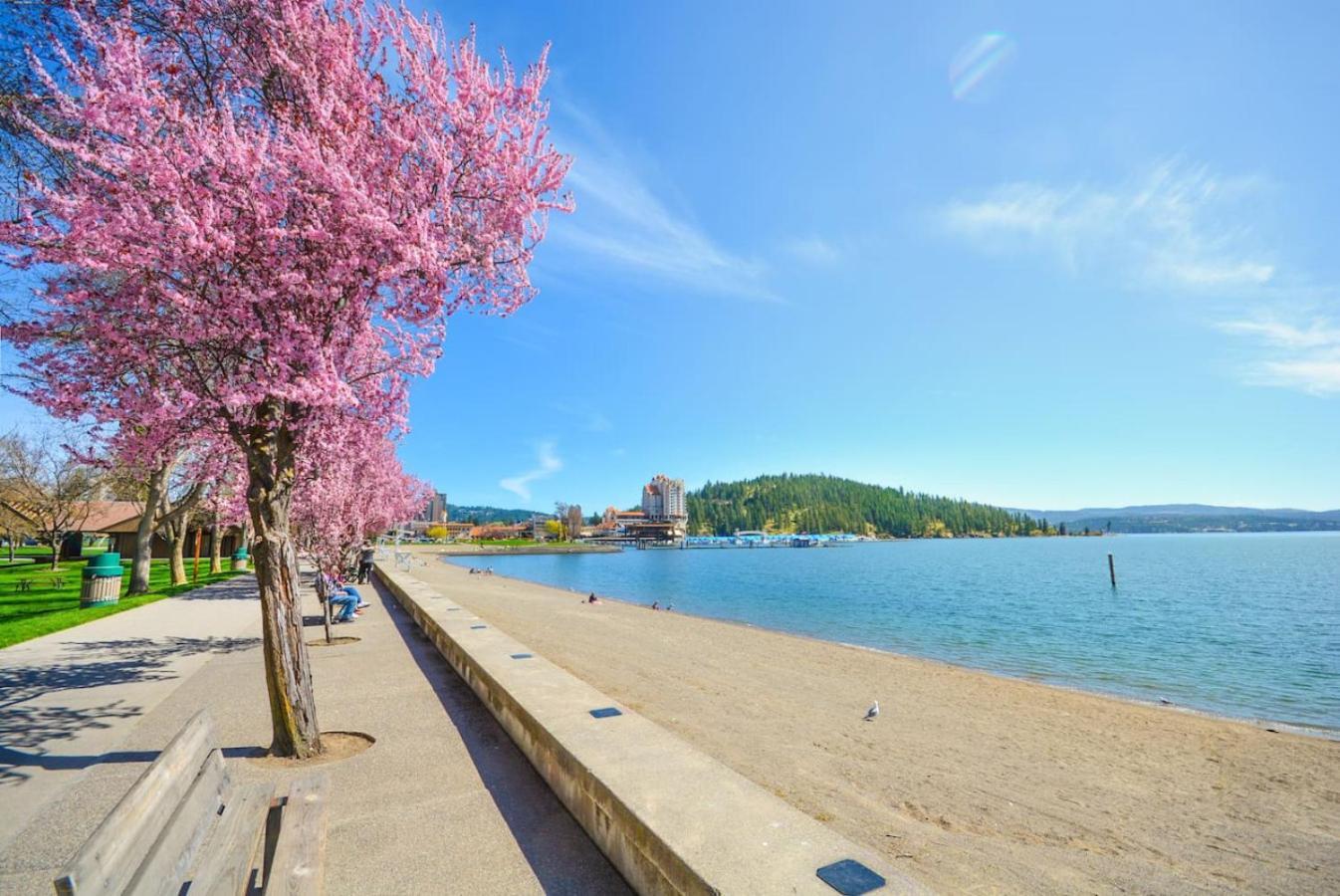 Craftsman Charmer In Downtown Cda คอร์ดาลีน ภายนอก รูปภาพ
